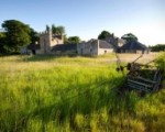 Kingsbarns Whisky